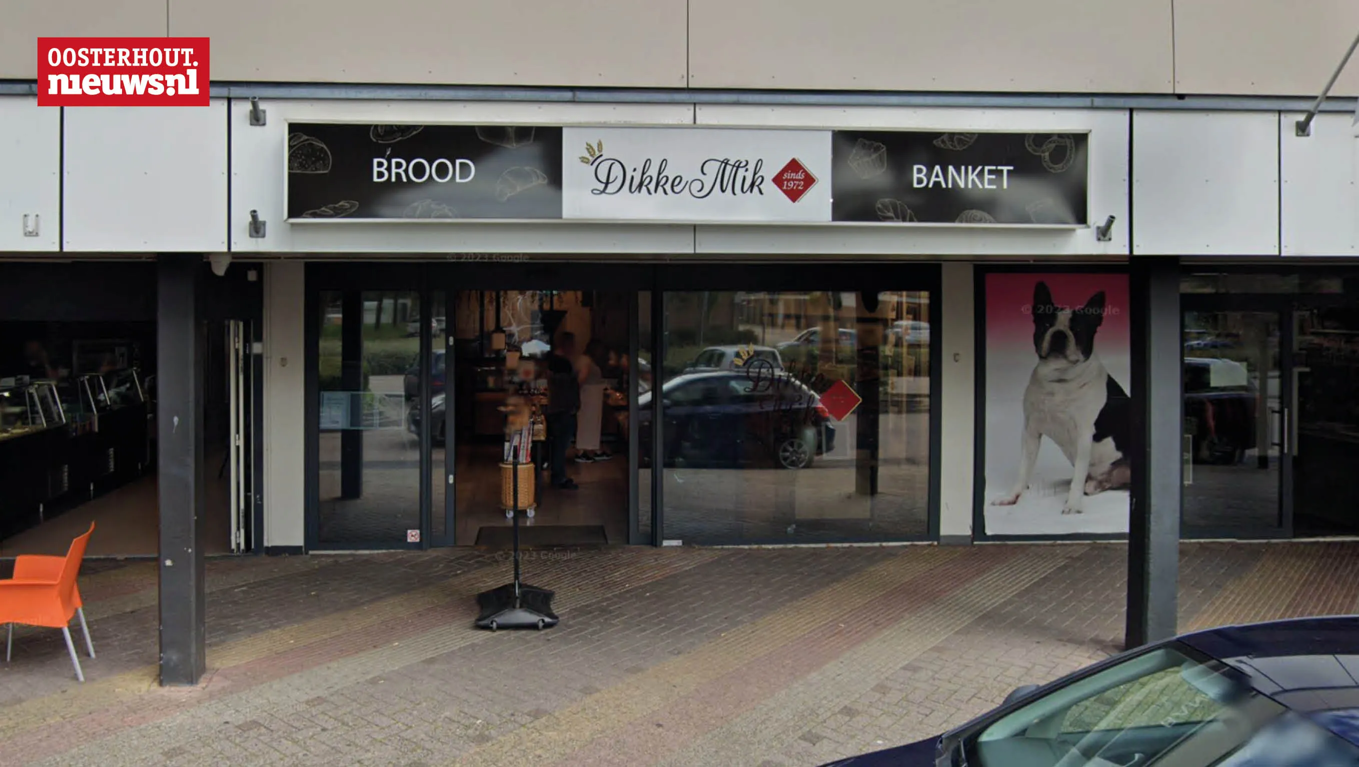 dikke mik zuiderhout