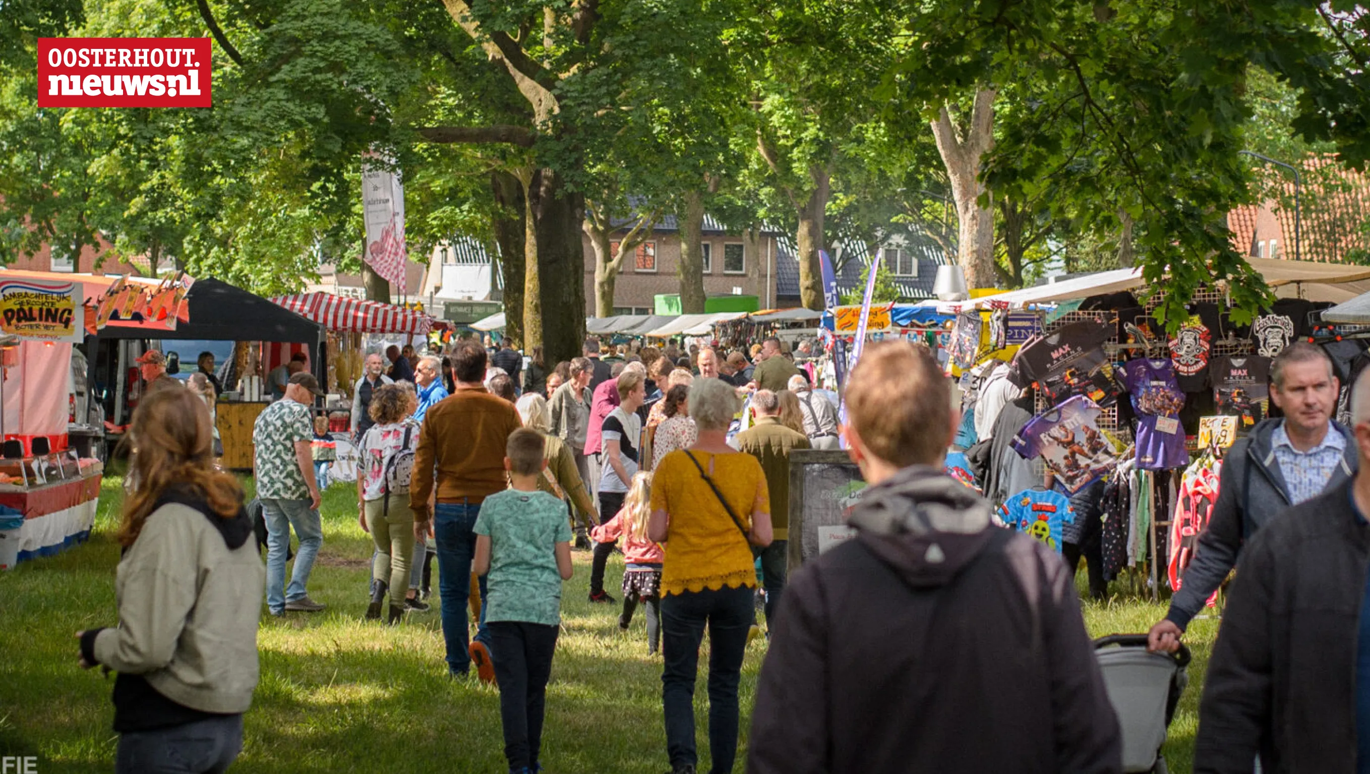 jaarmarkt den hout