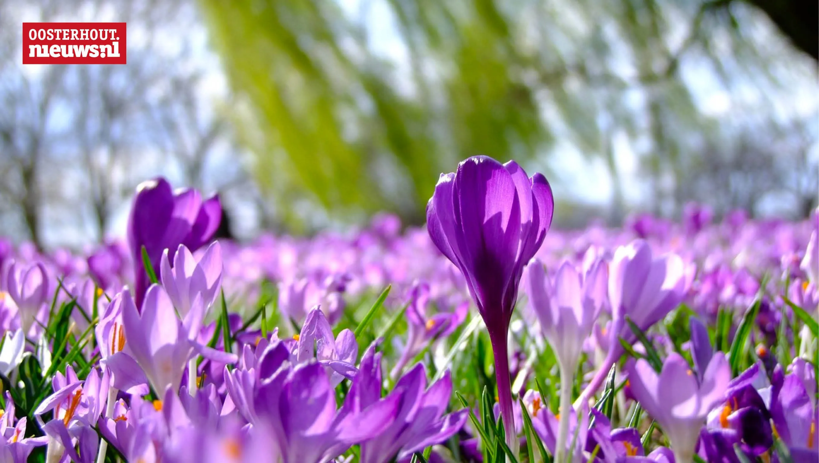 Warmste 15 februari ooit en eerste officiële lentedag van het jaar