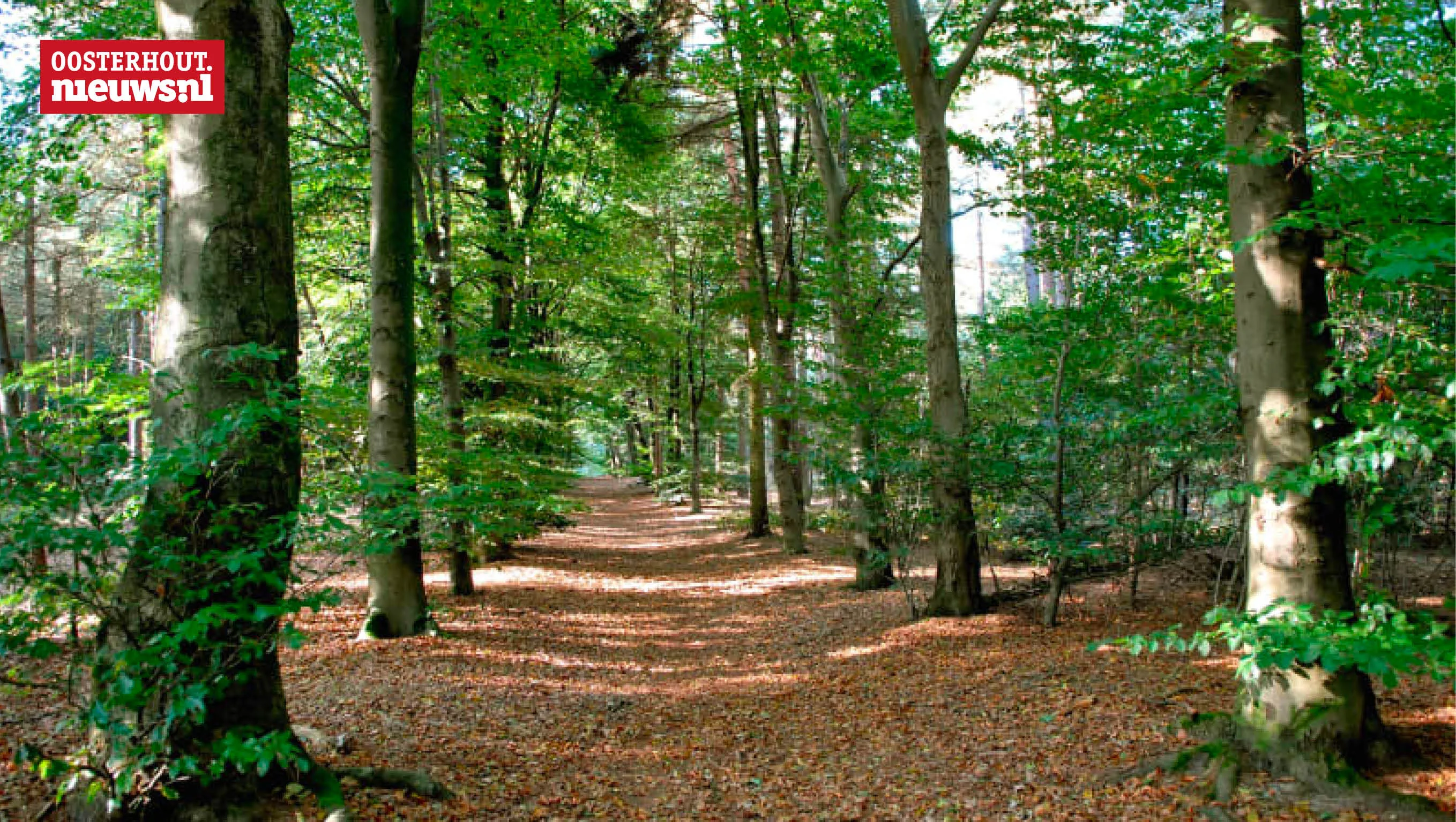 landgoed oosterheide