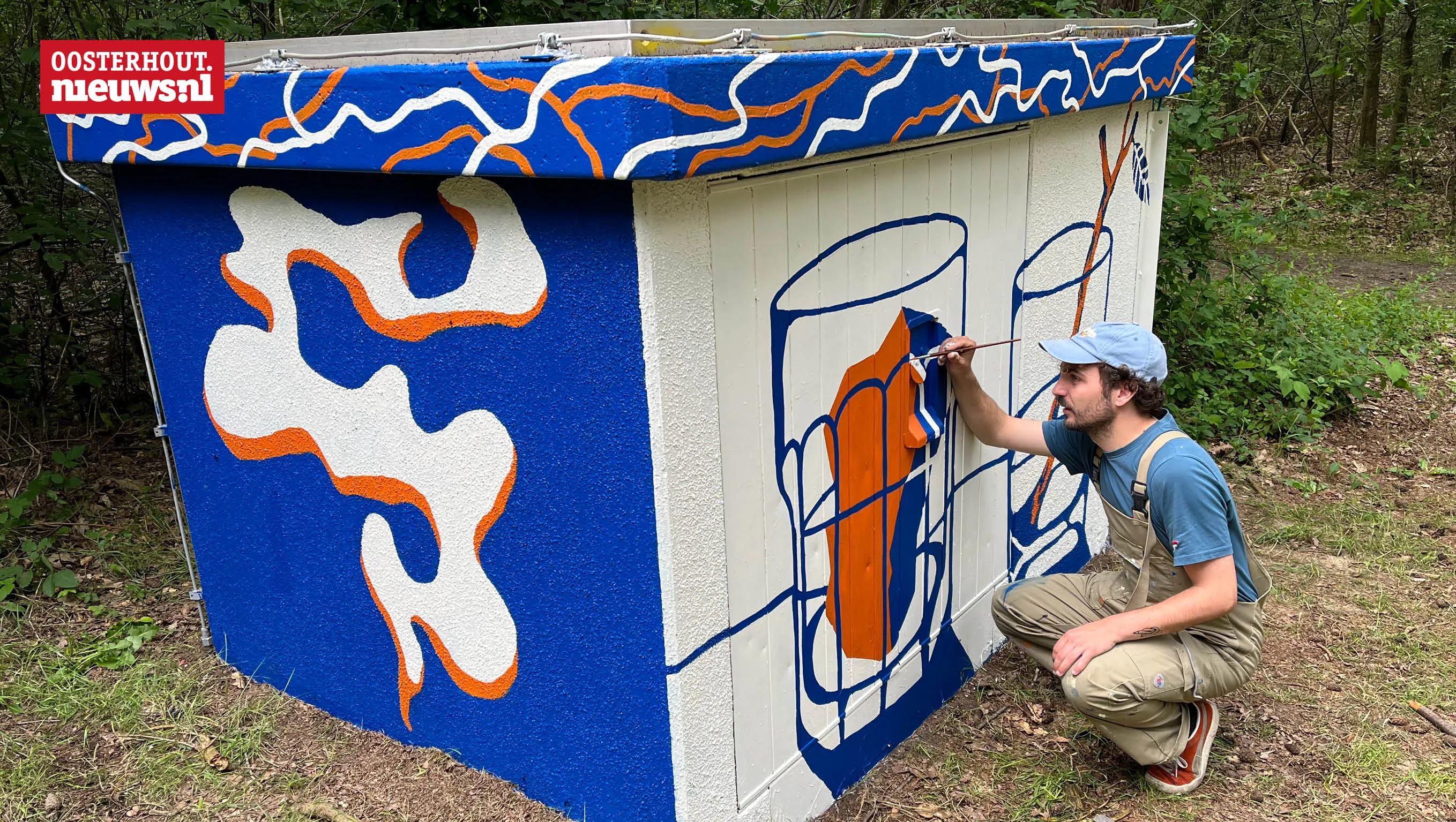 Illustraties op trafohuisjes door jonge Brabantse makers