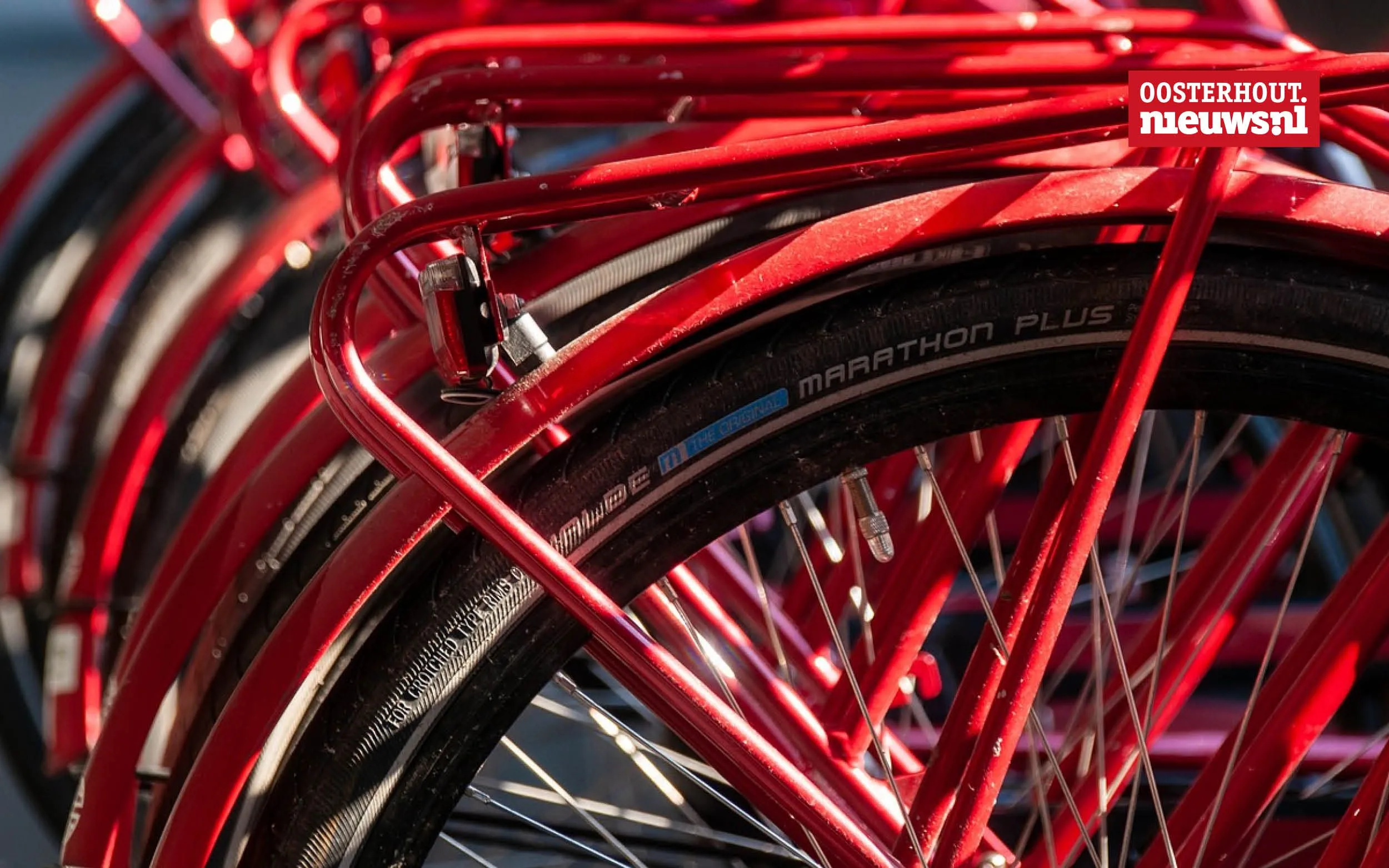 Oosterhoutse Ingrid van den Wijngaard wint NK Tegenwindfietsen