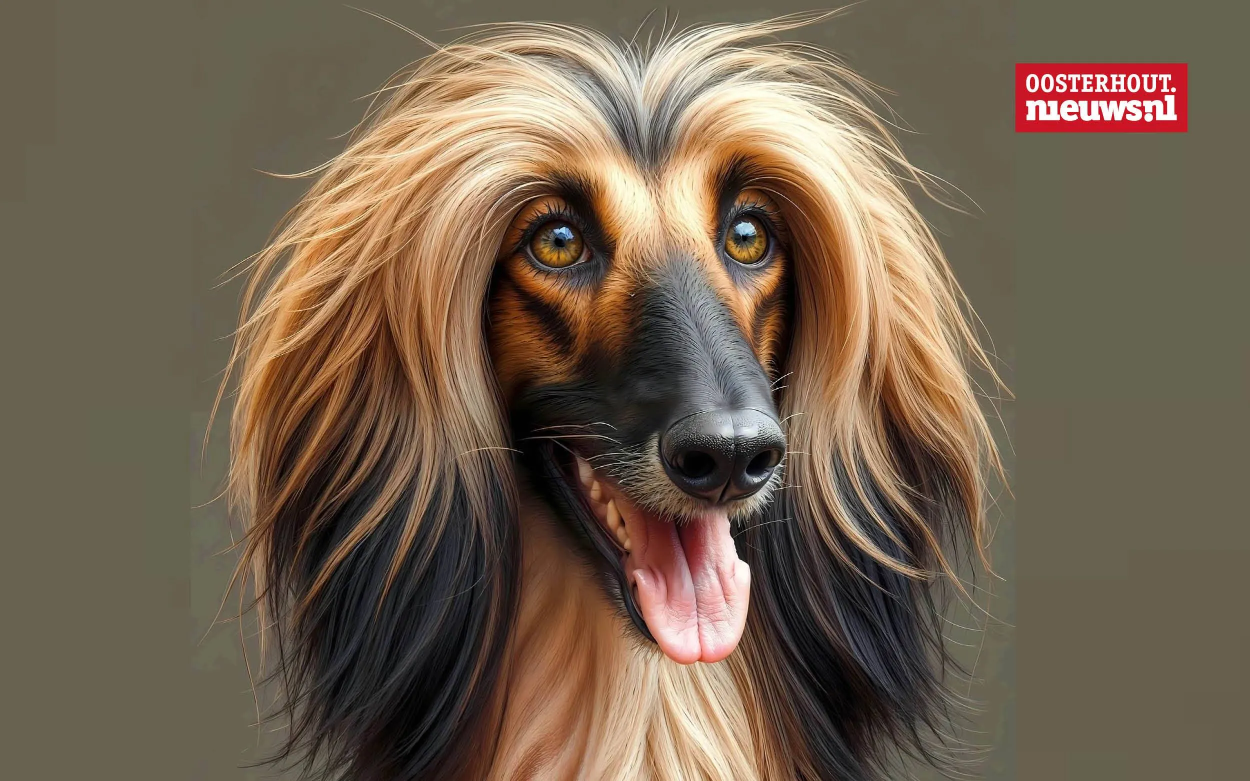 Christians vrolijke versje: Hamsteren!