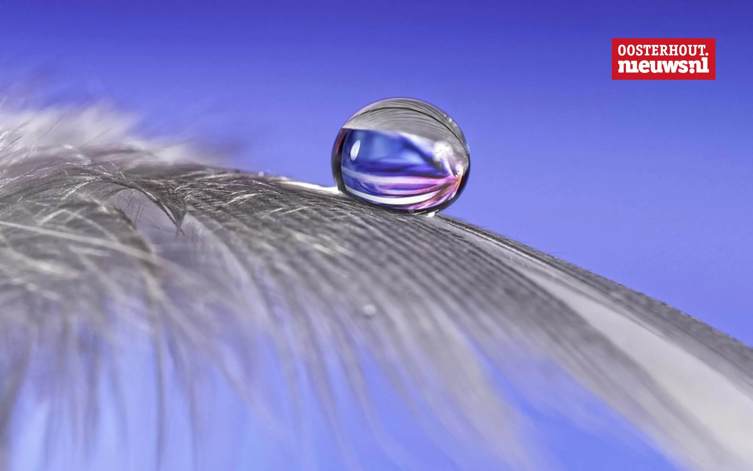 Christians vrolijke versje: "Druppel"