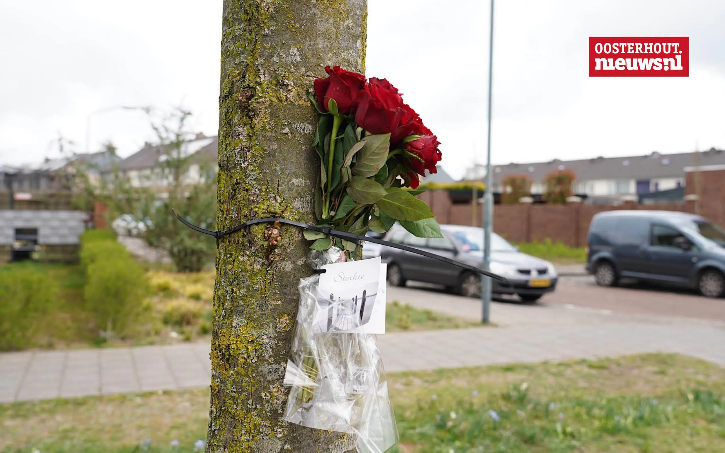 Hulp en ondersteuning beschikbaar voor bewoners Slotjes-Midden na schietincident