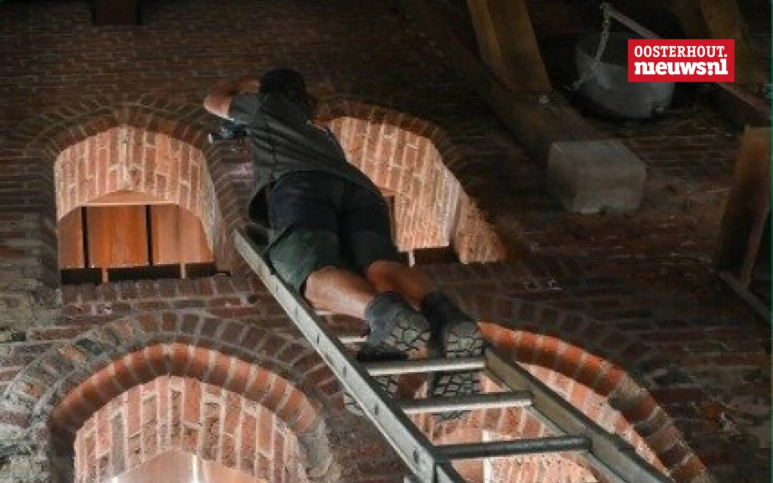 Vleermuiskasten in Sint-Jantoren bieden veilige kraamplek voor beschermde soorten