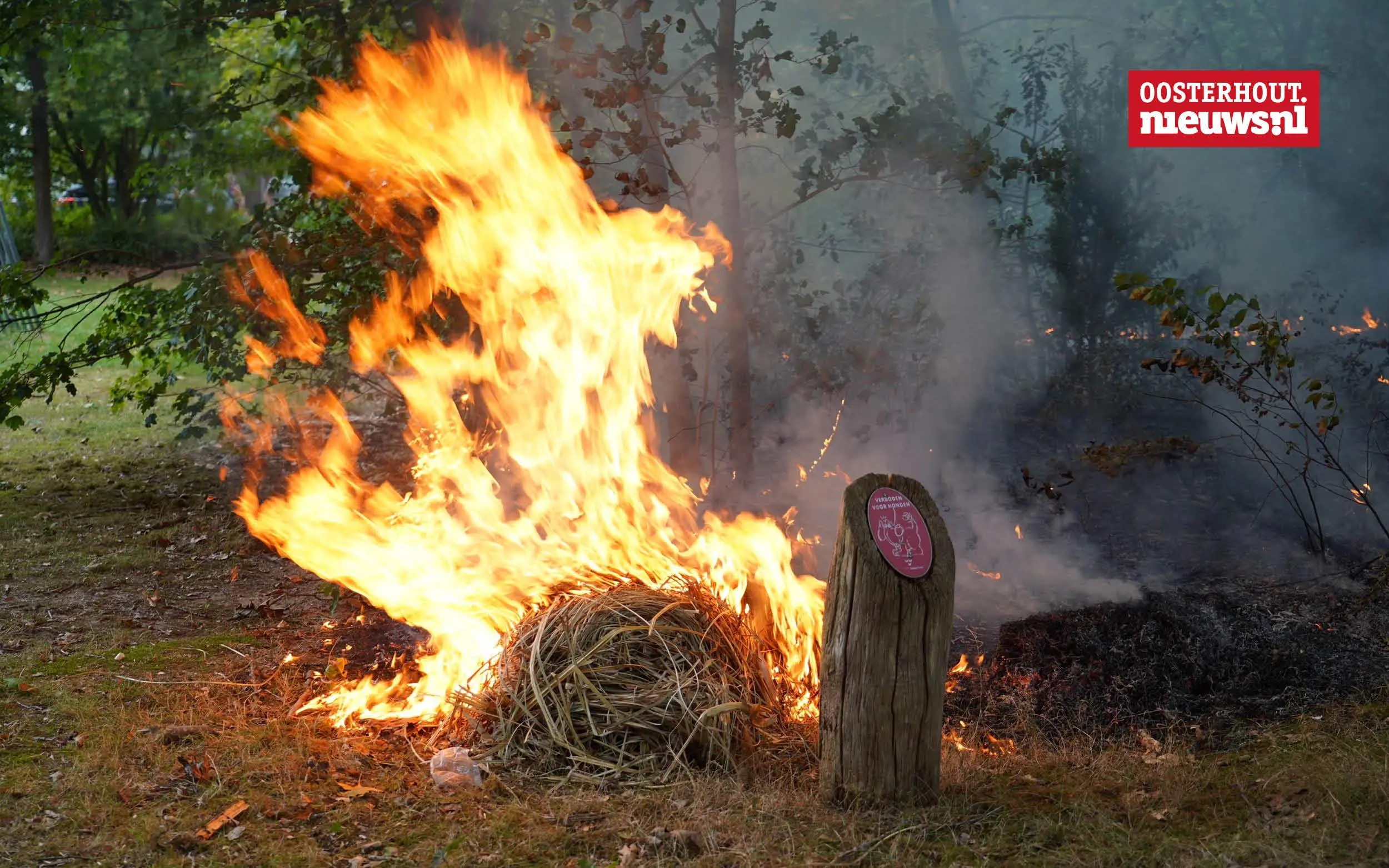 Verhoogd risico op bos- en bermbranden door extreme droogte