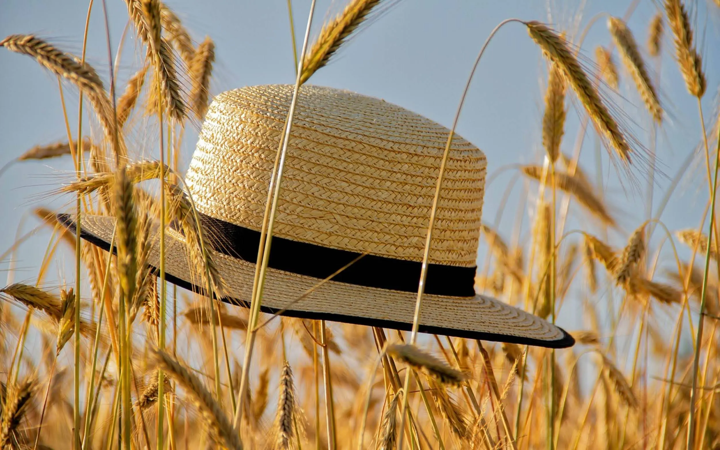 _Zomer-