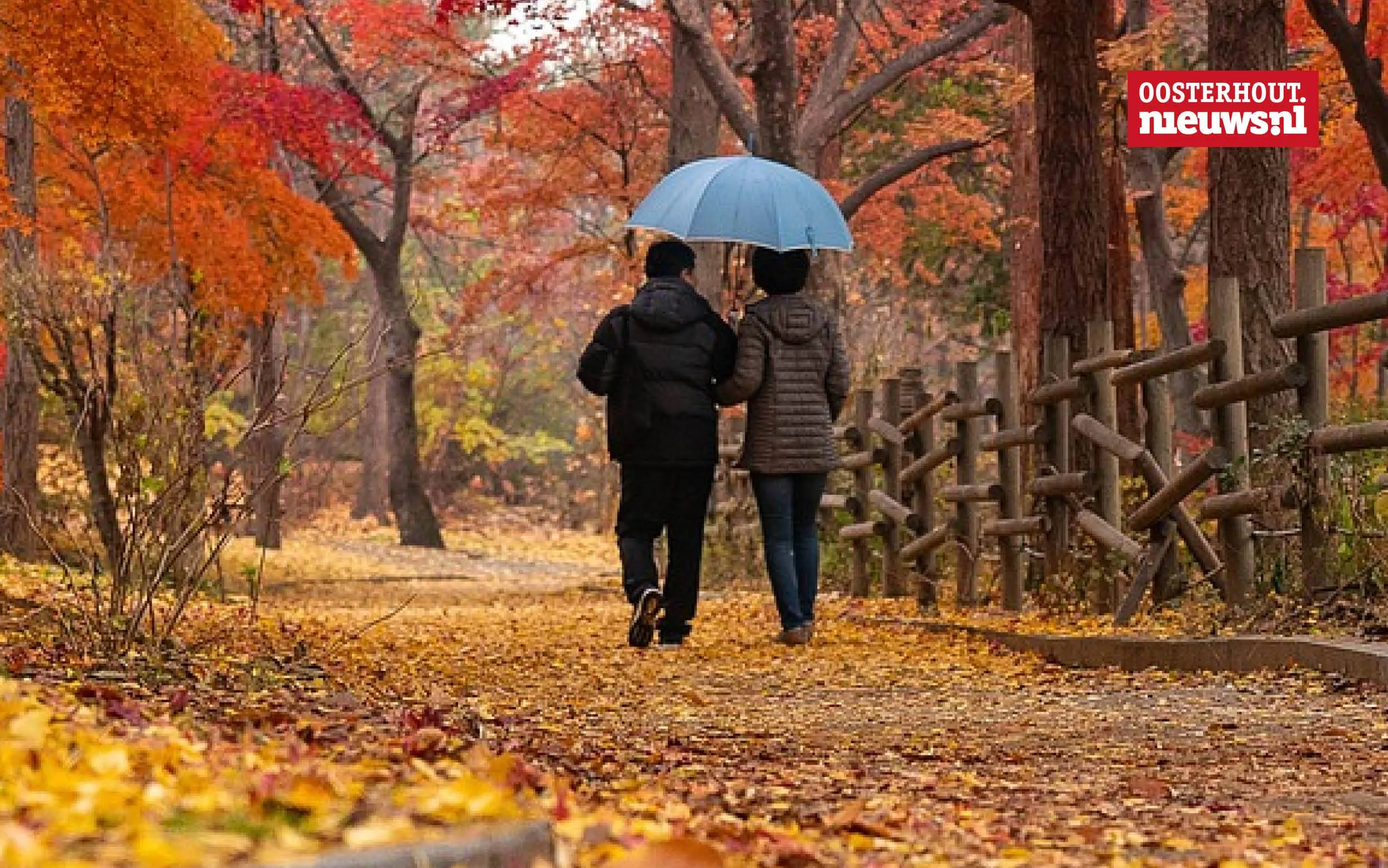 _herfst regen paraplu