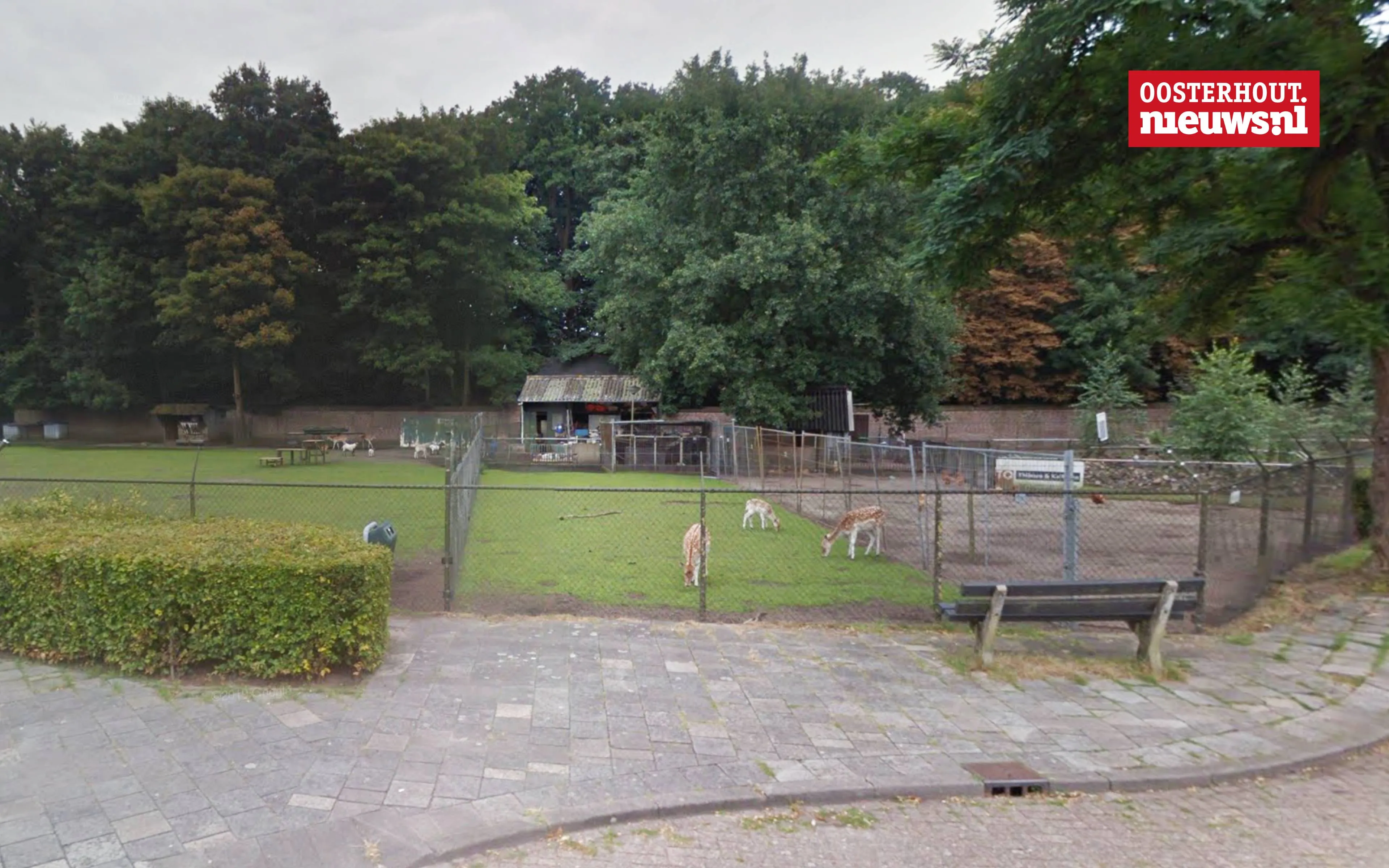 _Toontjes Weide 2017