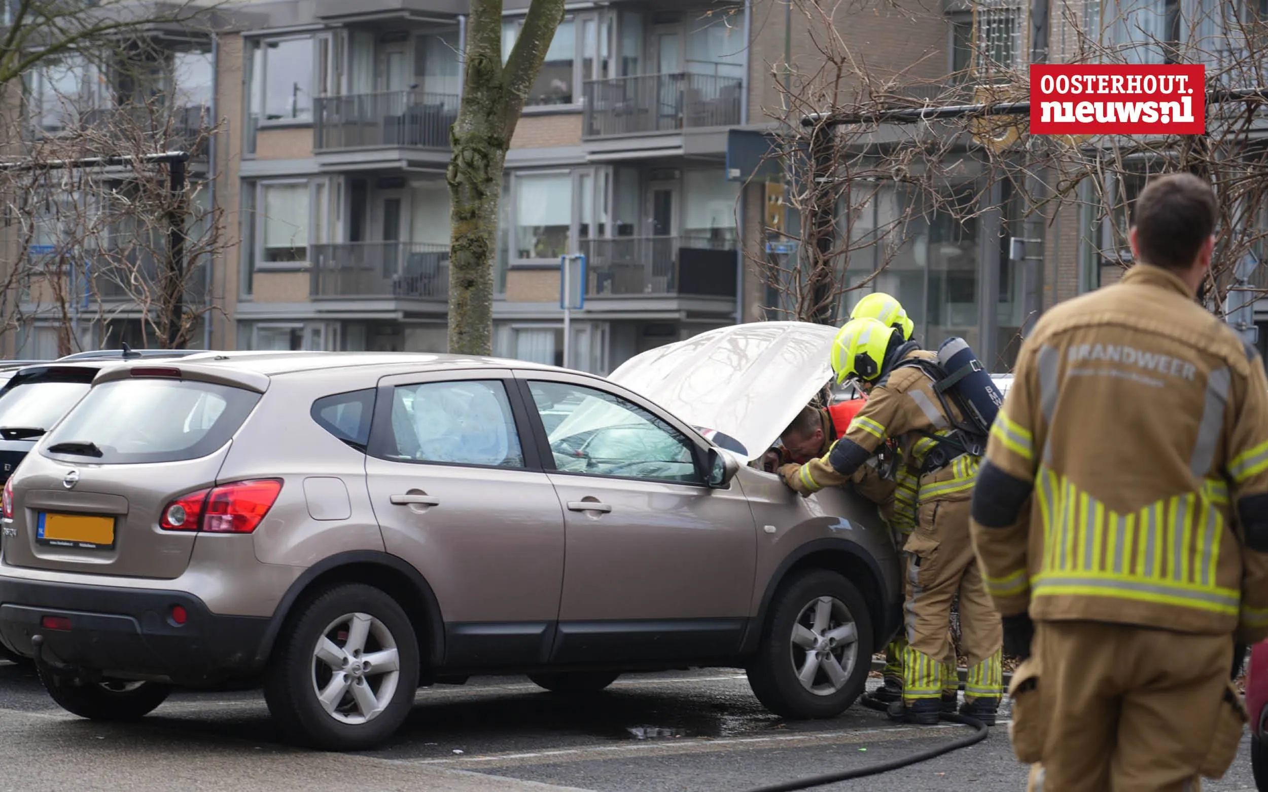 _autobrand Schapendries