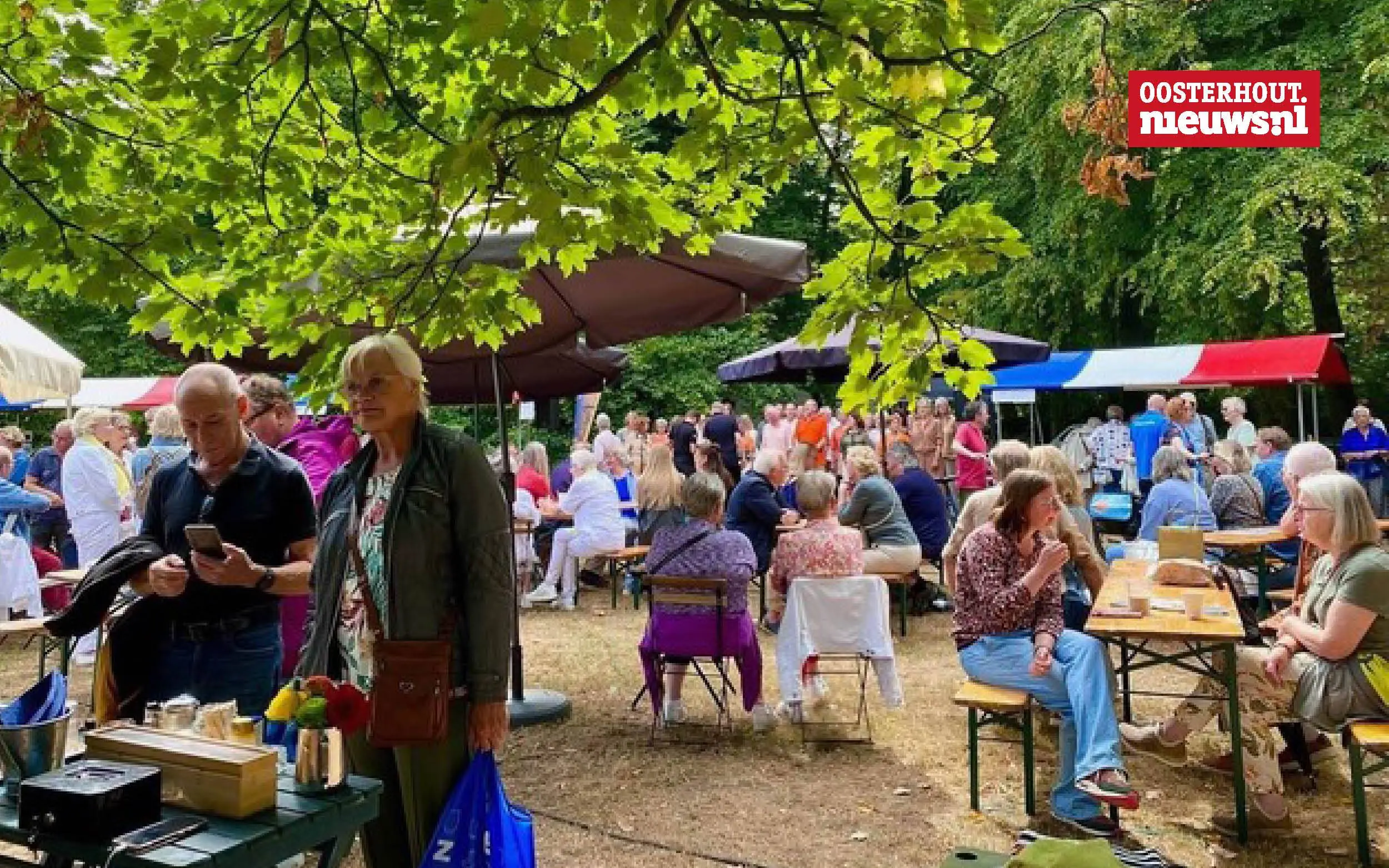 Oosterhouts park verandert in bruisend podium vol kunst en muziek