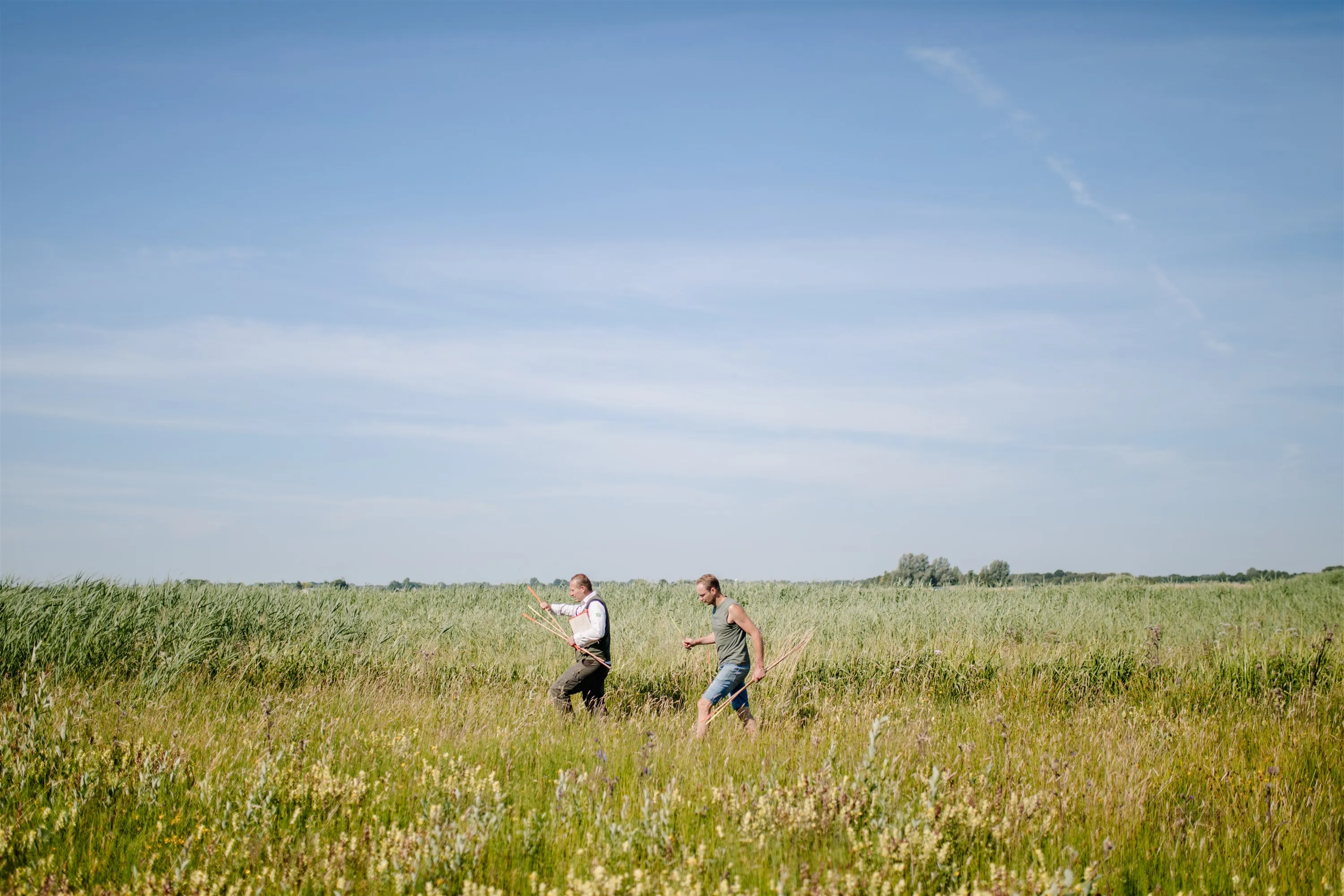 21938 inventarisatie van het grasland voor de maaironde at marleen annema fotografie