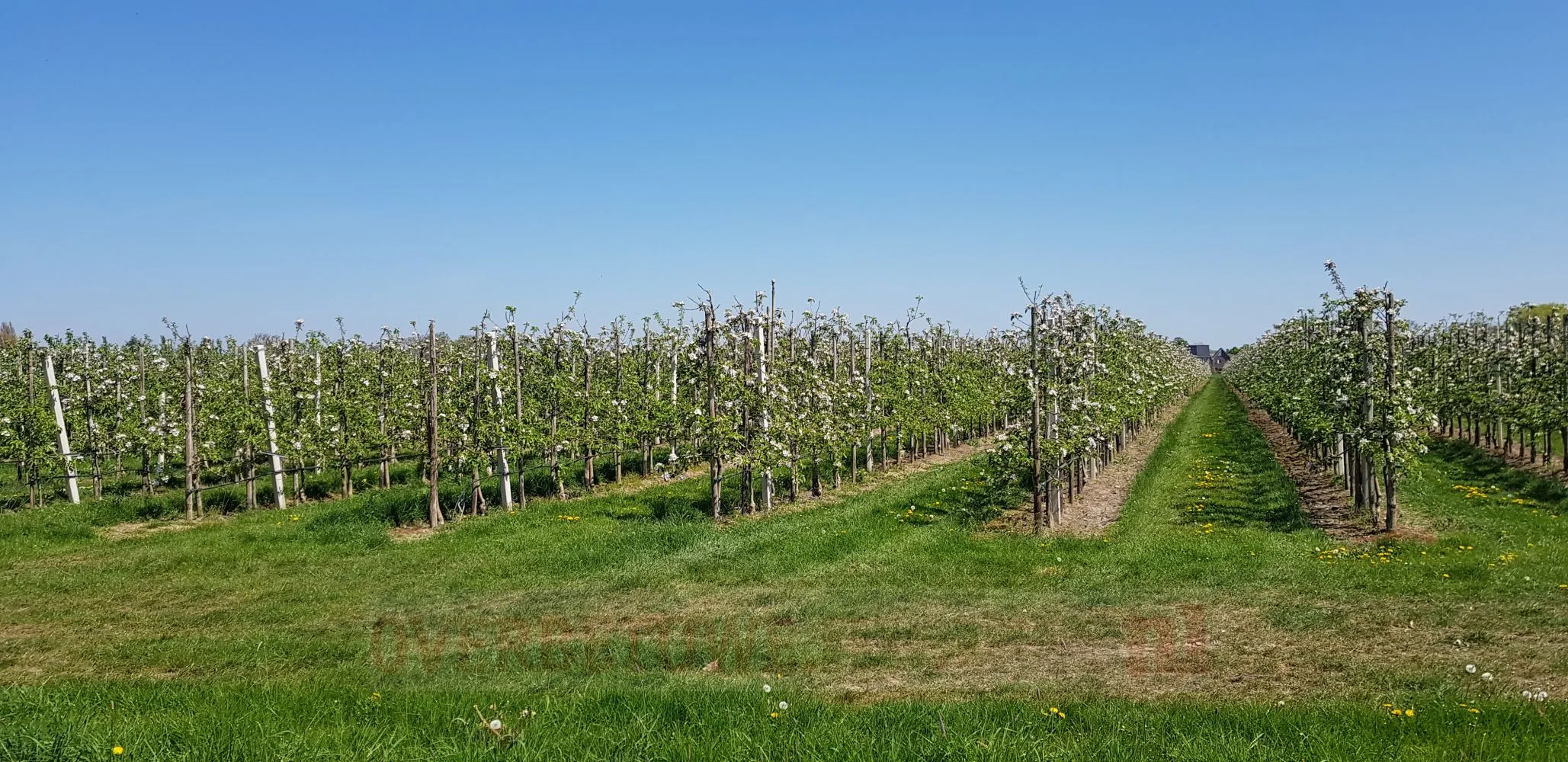 boeren en tuinders