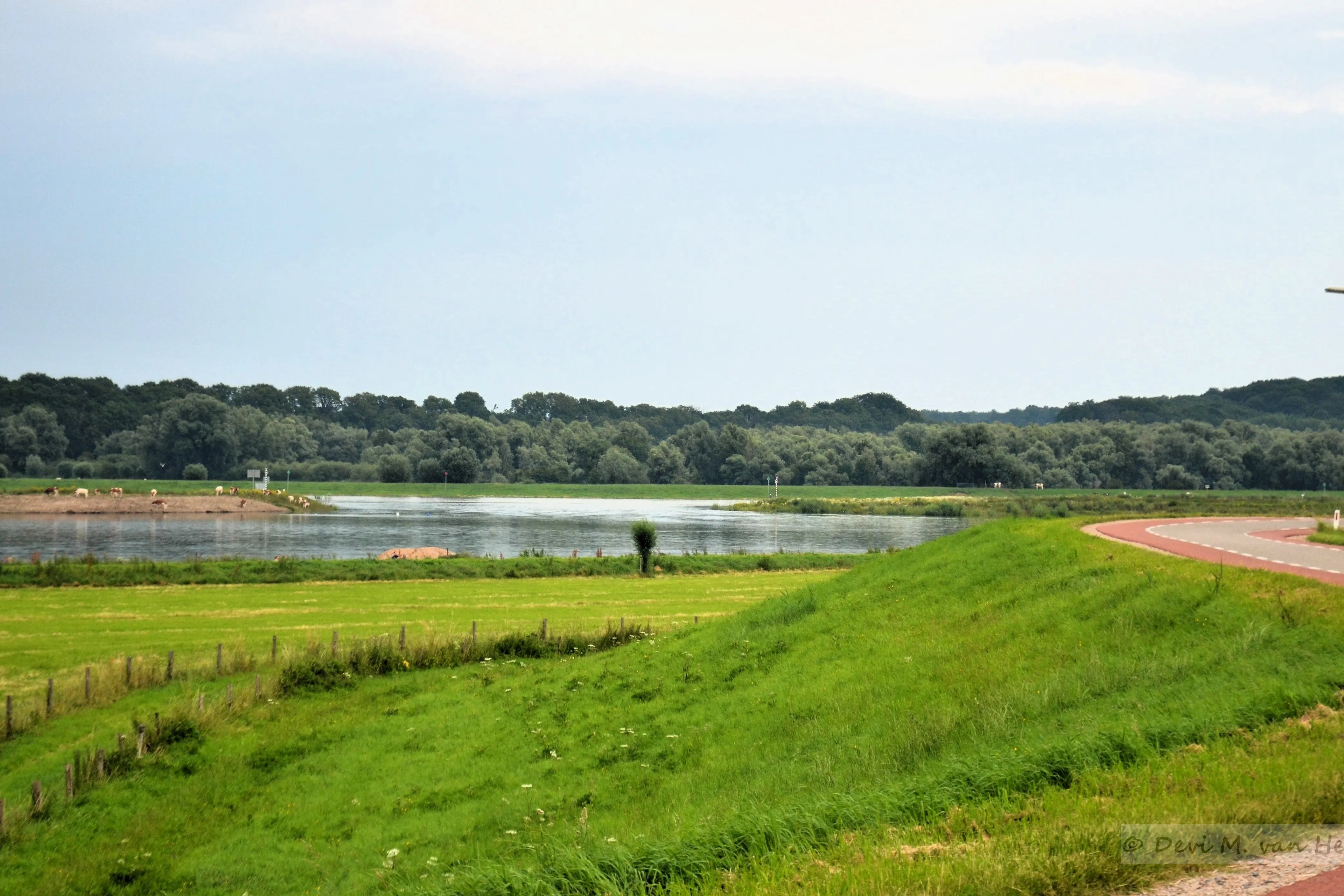 Golf op de Rijn: zomerkades en rivierdijken doen hun werk