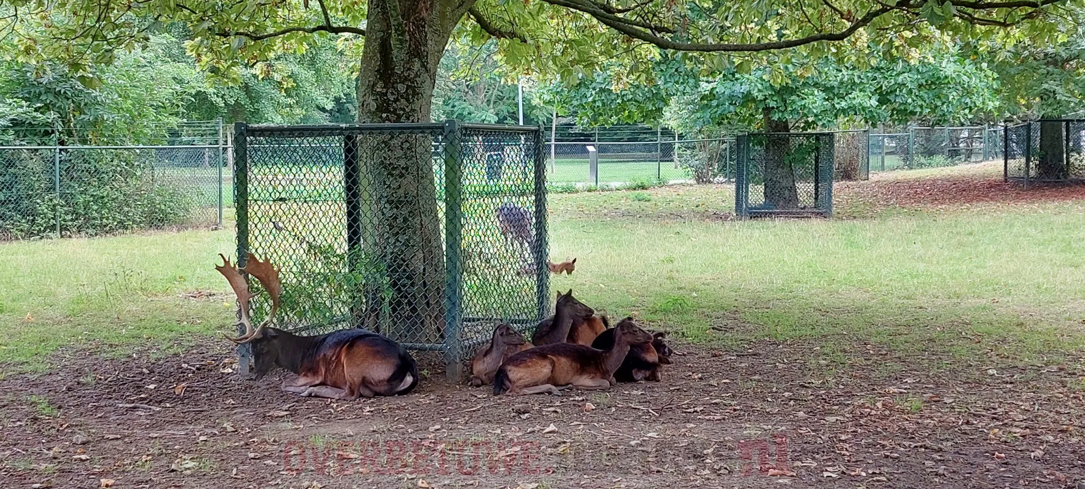 hertenkamp galamapark elst