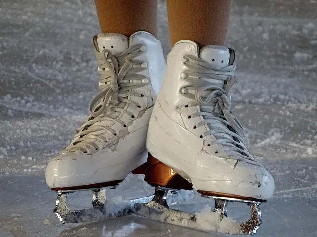 skates g189f26713 640