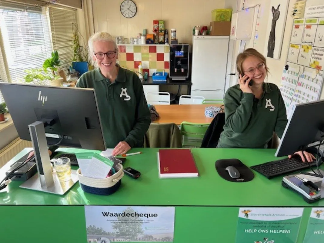 Help jij de dieren helpen? Word vrijwilliger bij Dierentehuis Arnhem en Omstreken!