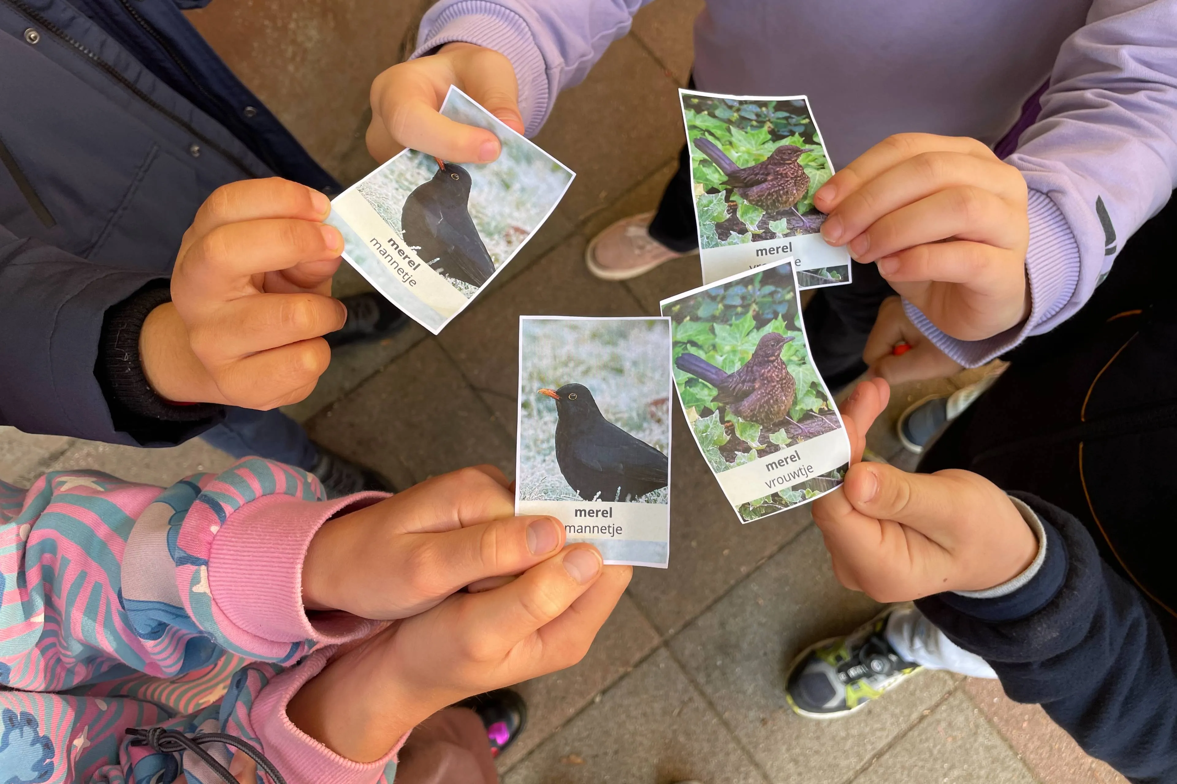 Vogelspotters