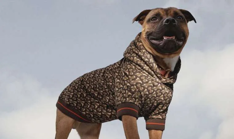 Burberry lanceert hoodie voor honden