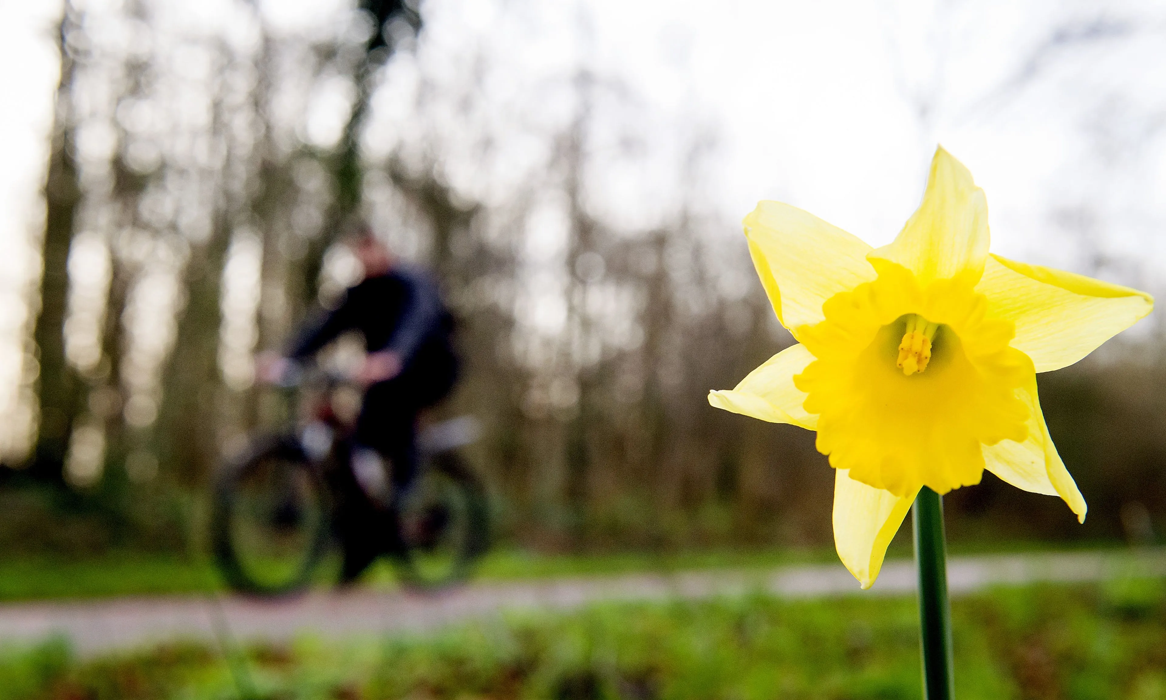 Dit jaar is de warmste februari ooit gemeten