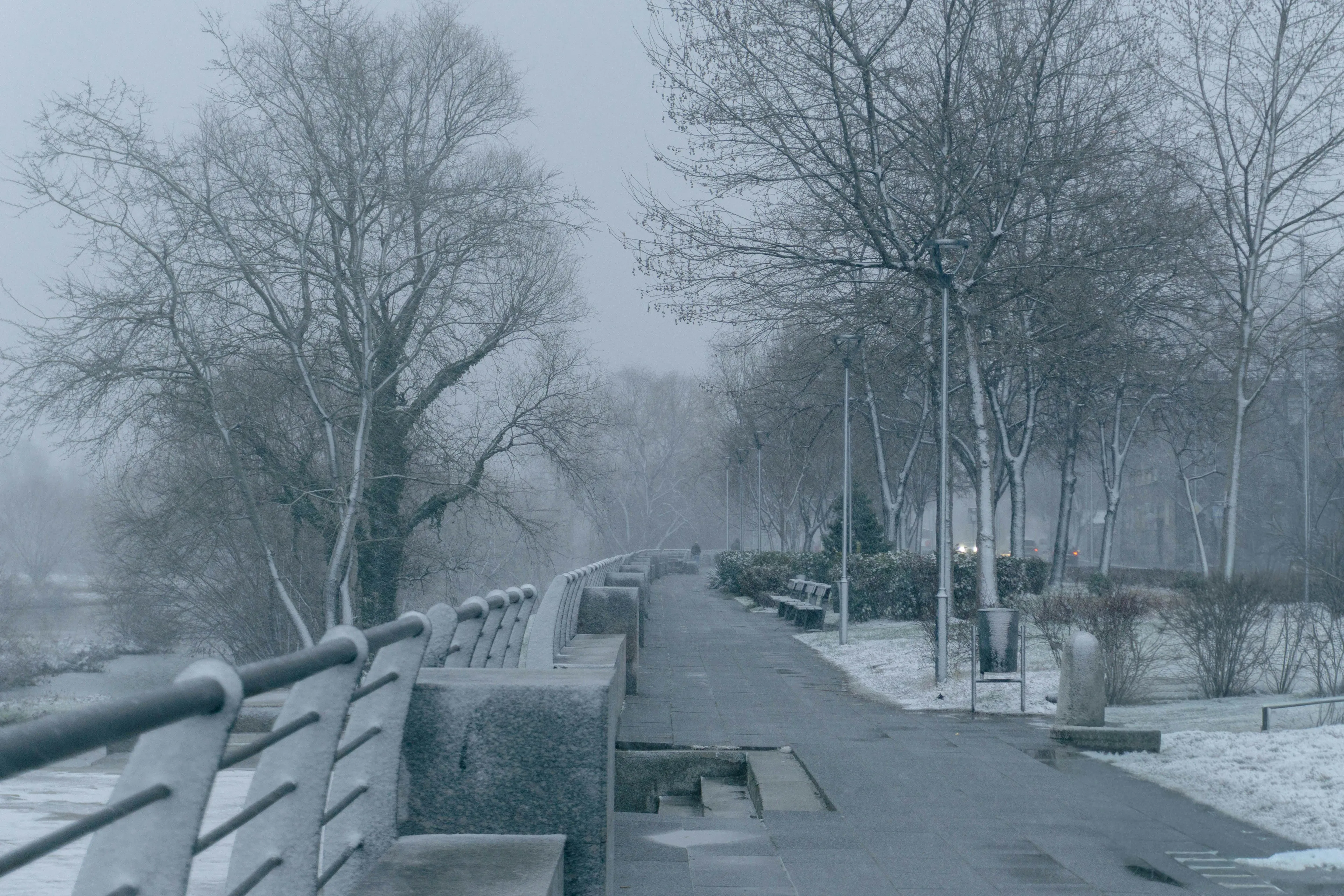 pexels-nikolay-demirev-2152336434-35635121