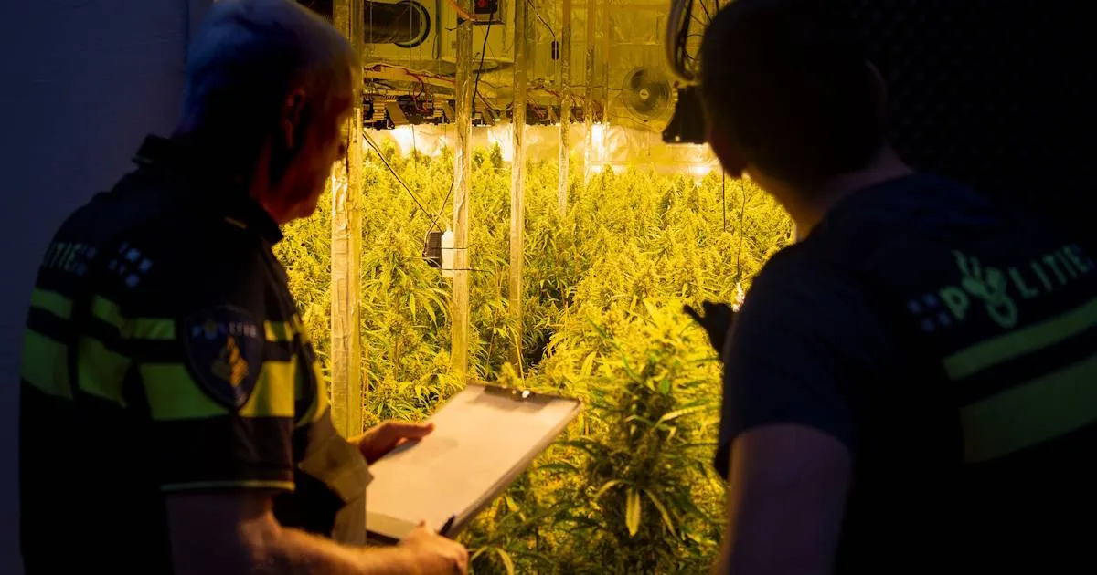 559344586_1219479606878045_8182529894430221208_n