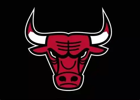 chicago bulls logo