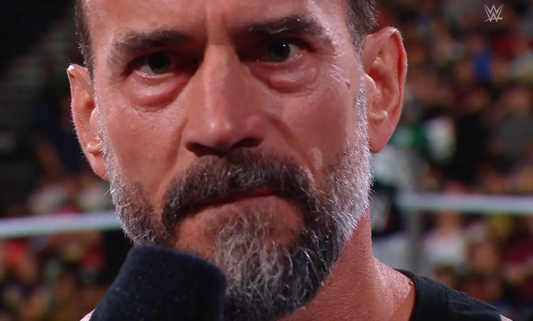WWE Raw (16.9.24): CM Punk gibt Versprechen, Terror Twins zerstört