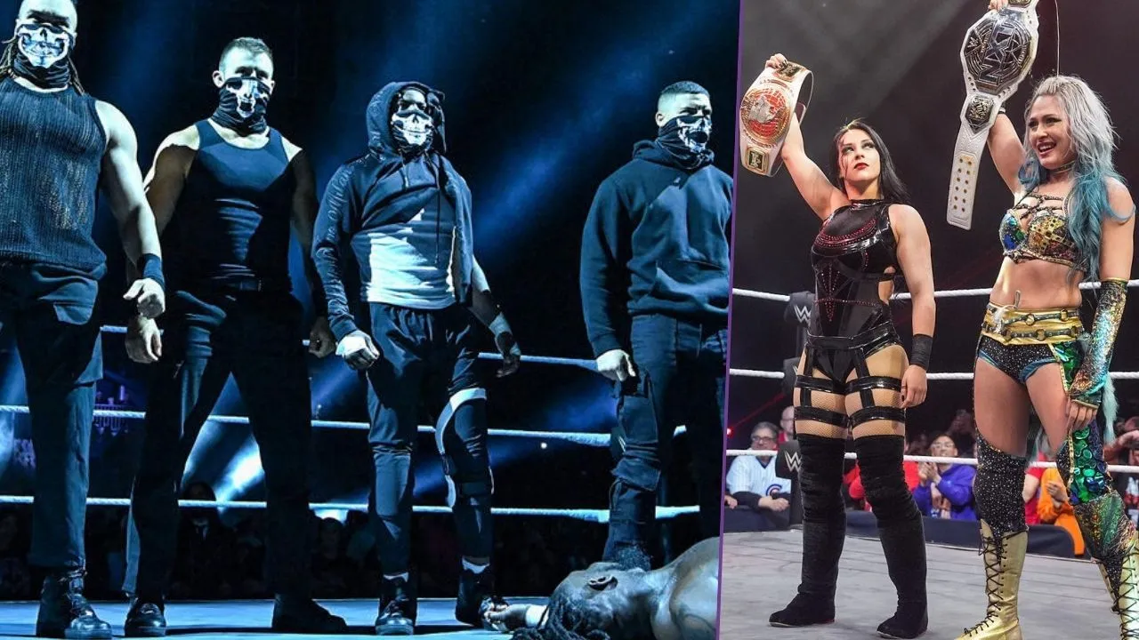 wwe nxt vengeance day 150225
