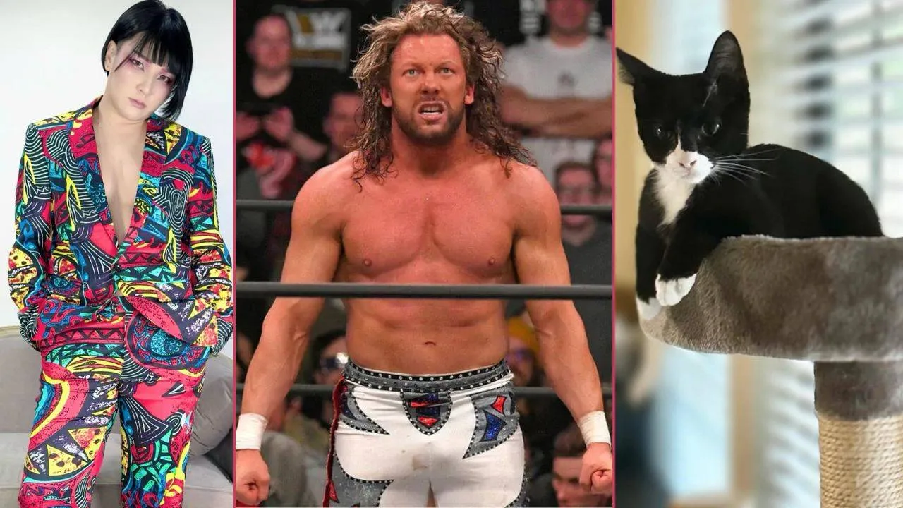 Kuscheleinsatz statt Wrestling-Chaos: AEW-Star Kenny Omega als Katzensitter