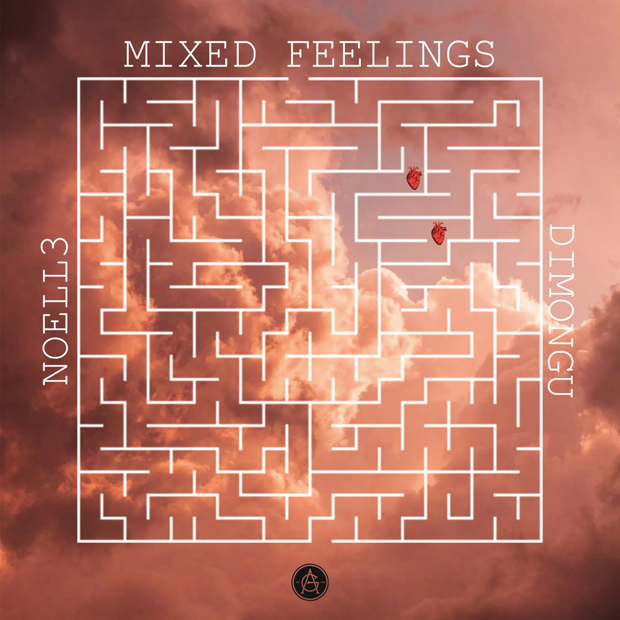 Mixed Feelings cover 1