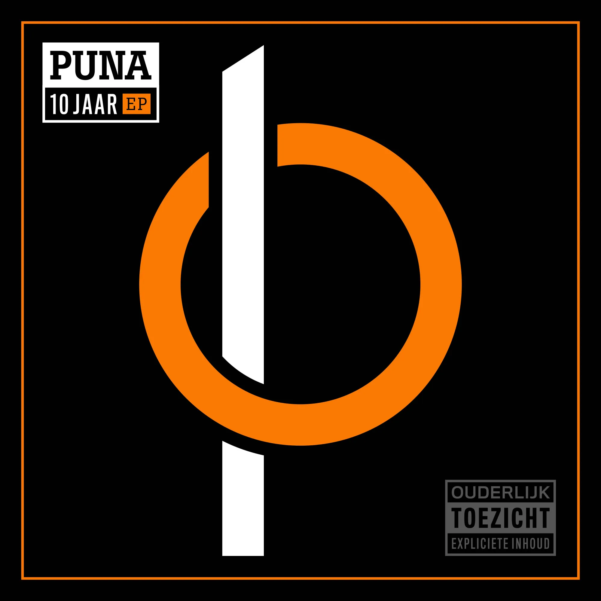 PUNA10JAAREP COVER 