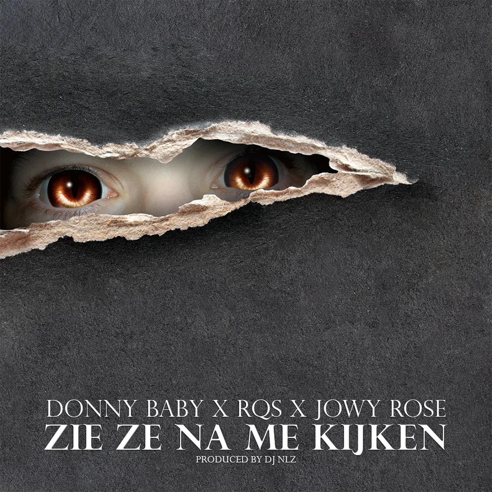 ZIEZENAMEKIJKEN cover