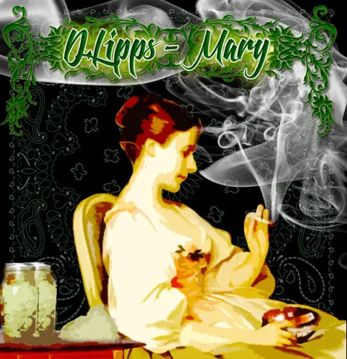 dlipps mary