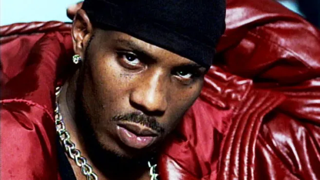 dmx1