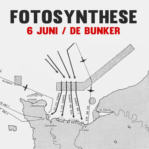 fotosynthese debunker