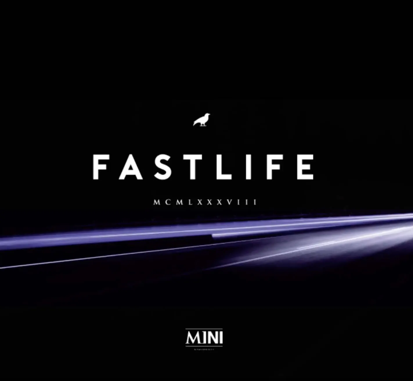 mini fastlife