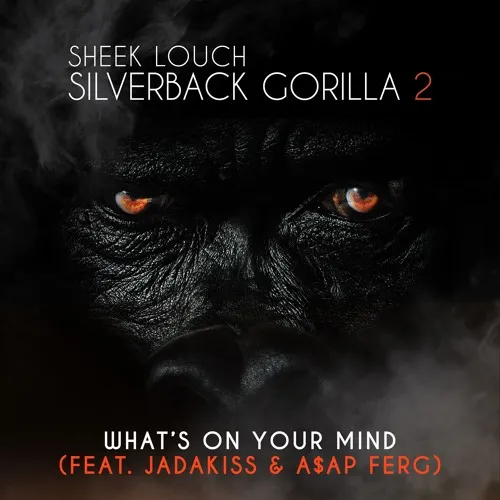 sheek louch whats on your mind