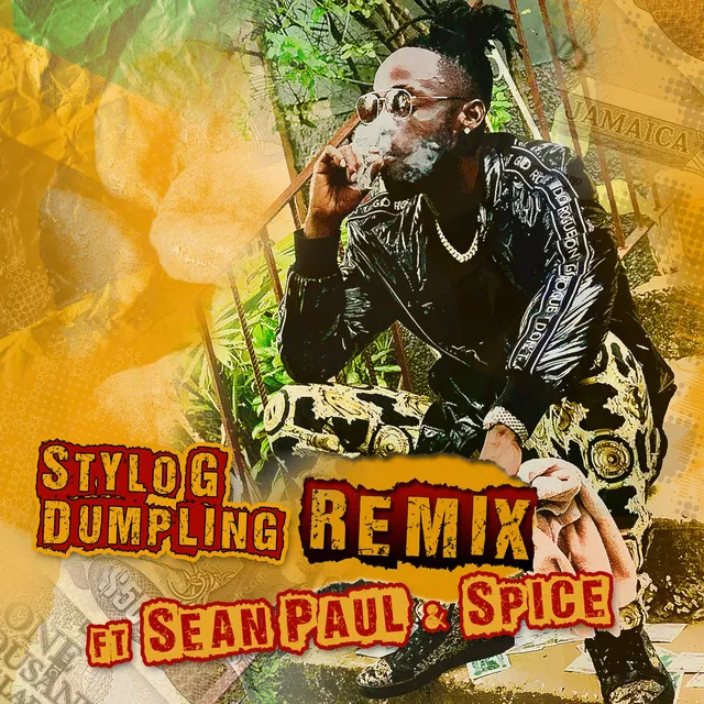 stylog dumplingremic