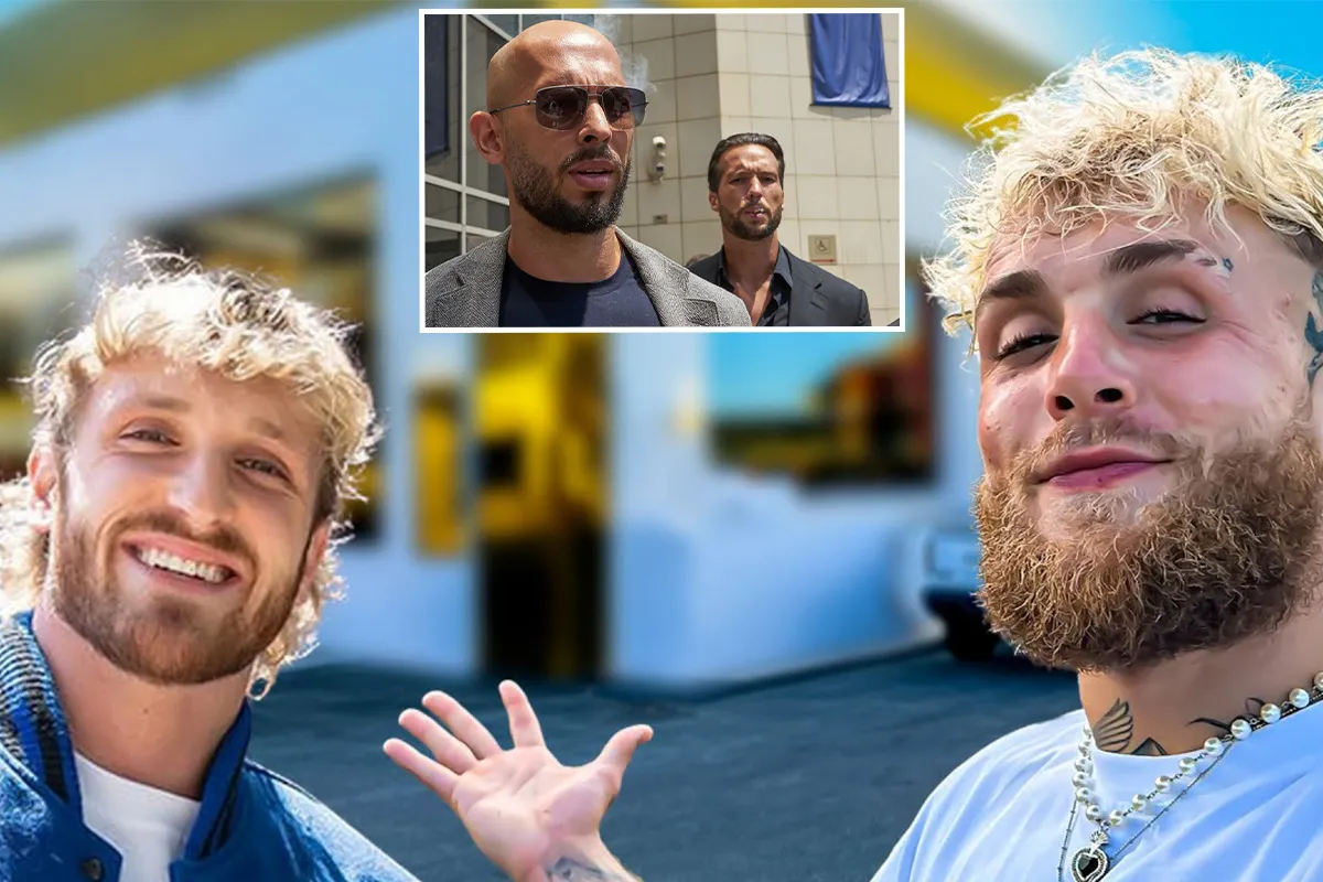 Jake en Logan Paul dagen Andrew en Tristan Tate uit om 2 tegen 2 de ring in te gaan: "Me and Jake will travel to Romania"