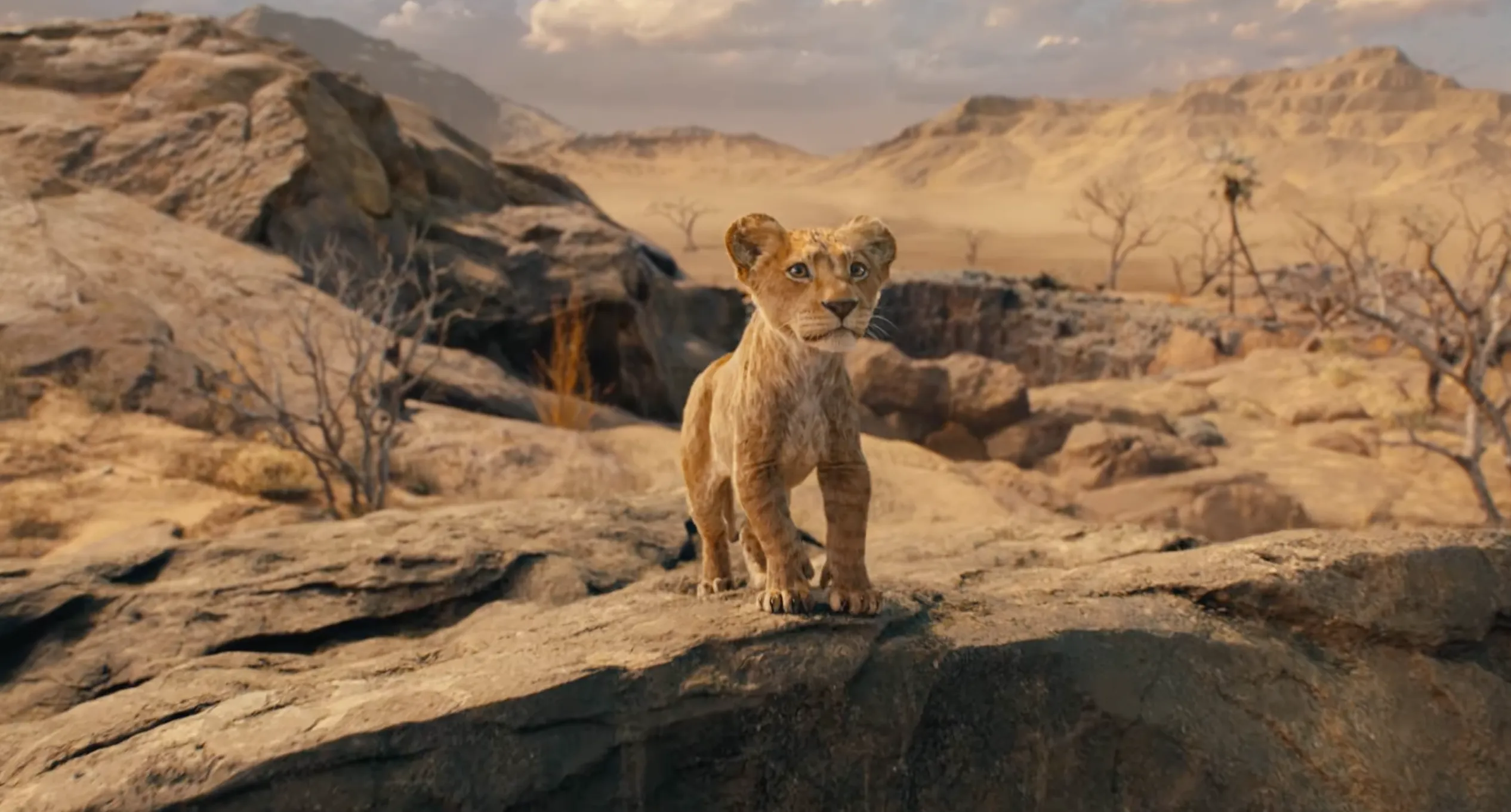Disney presenteert eerste trailer van Mufasa: The Lion King met rollen voor Beyoncé en haar dochter Blue Ivy