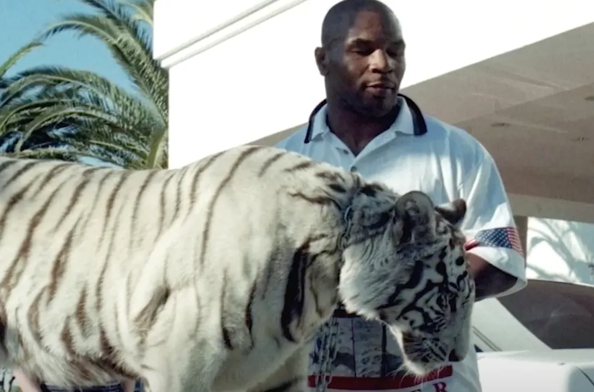 Mike Tyson legt uit waarom het een fout was om met twee tijgers in bed te slapen