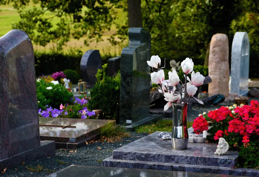 Schermafbeelding 2026-02-13 100717