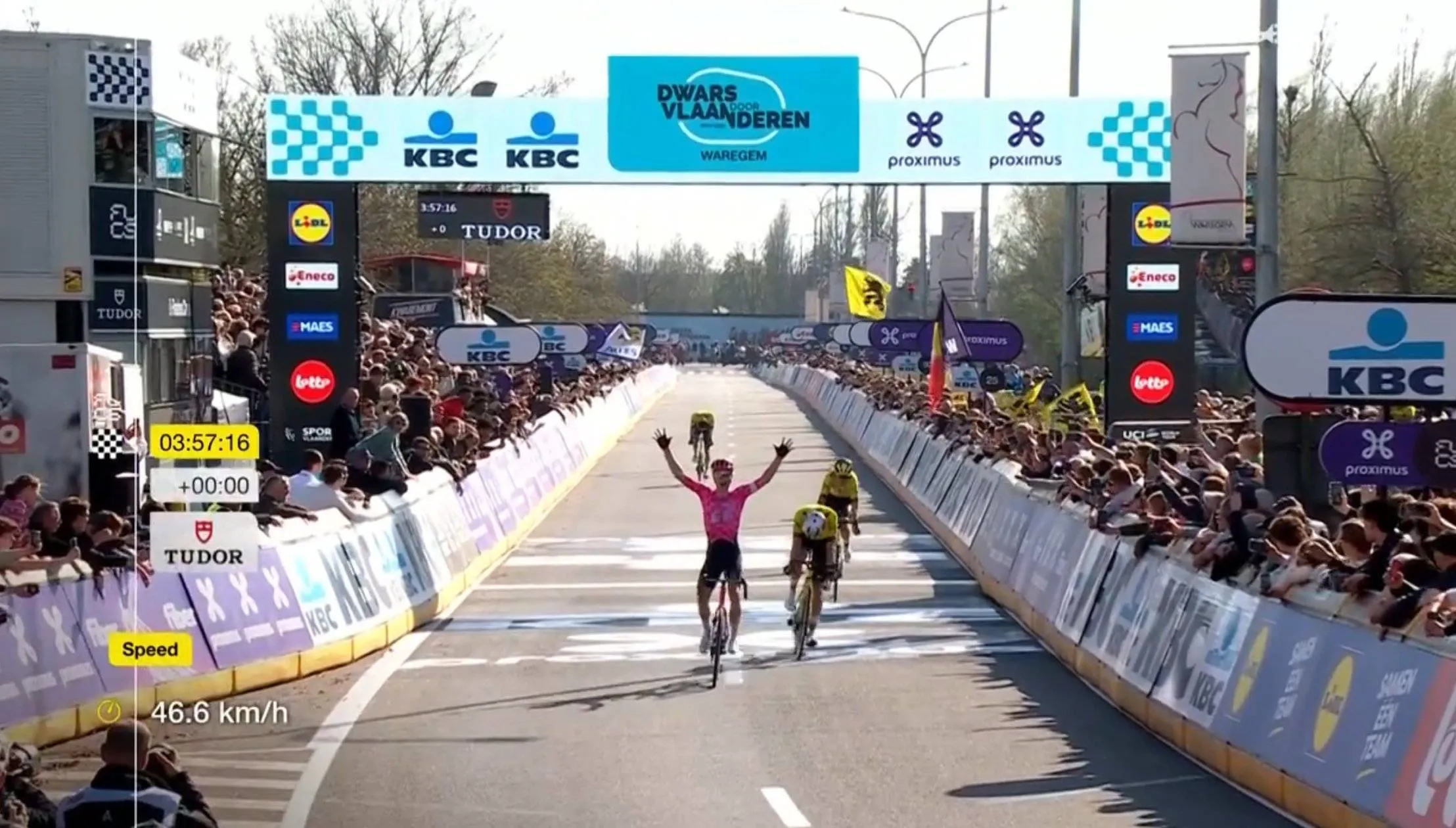 Totalausfall bei Visma! Neilson Powless triumphiert bei Dwars door Vlaanderen gegen Wout van Aert und das Visma-Trio.
