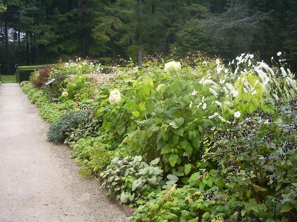 1024px oosterbeek tuin lage oorsprong 02