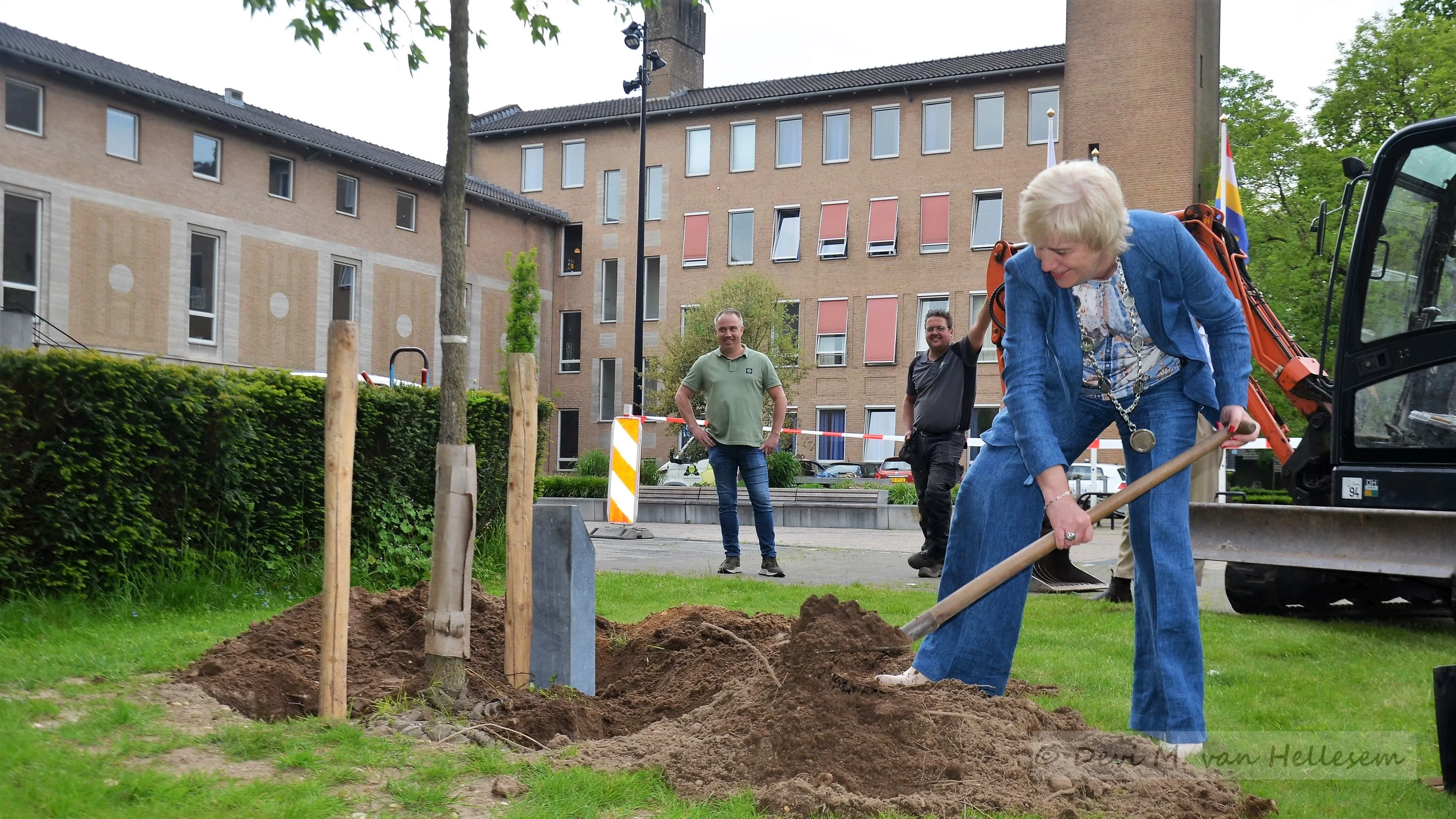 22 5 planten boom gemeentehuis 7