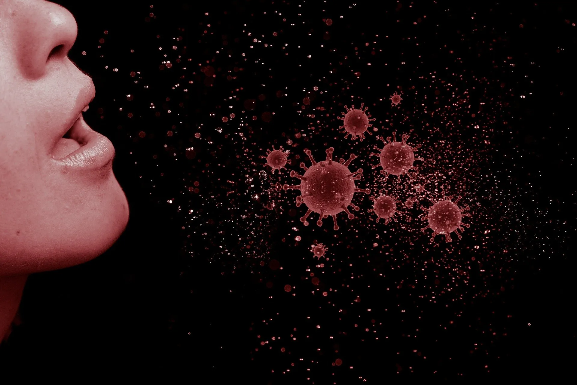 coronavirus mohamed hassan pixaby