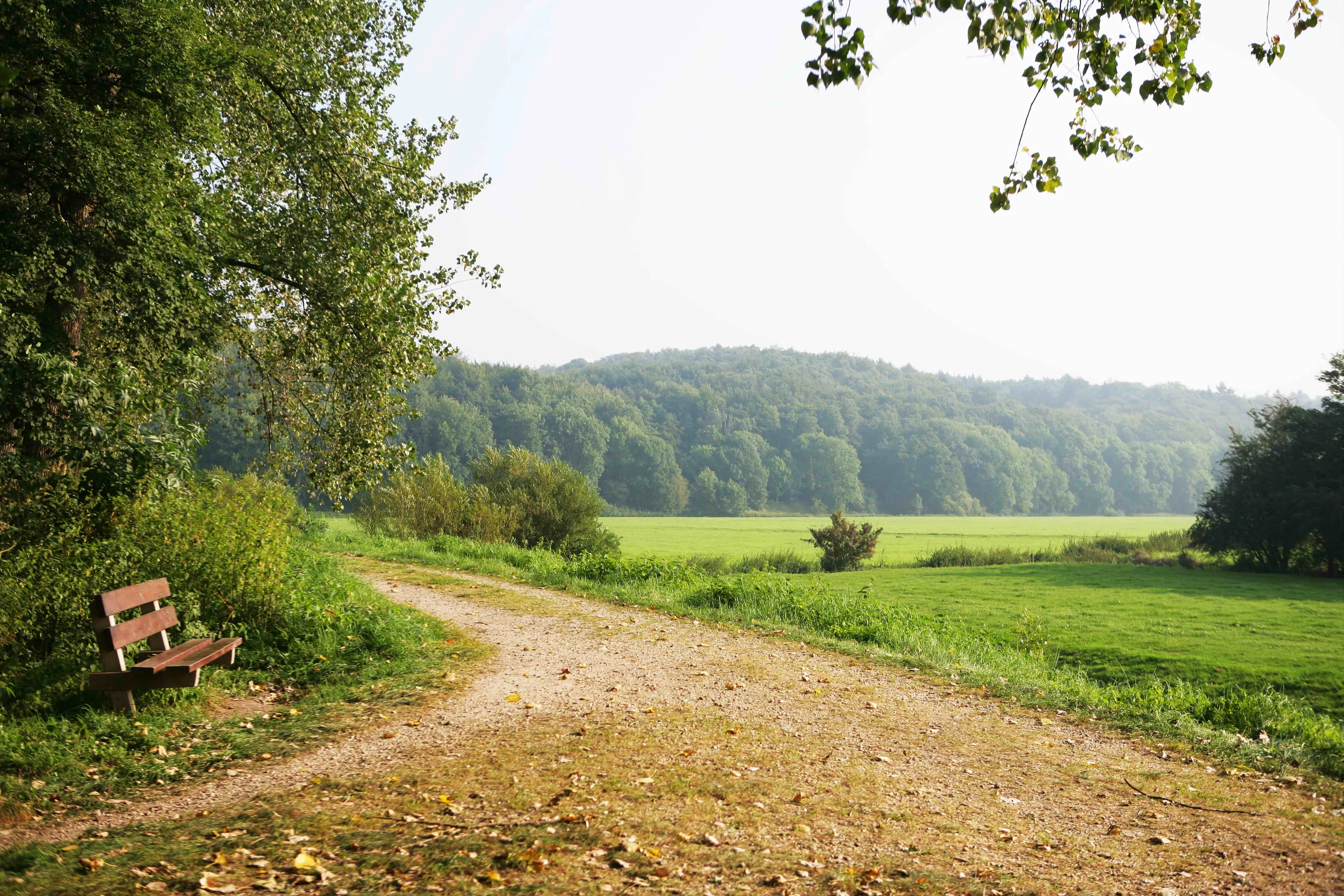 doorwerth cultuurhistorische wandeling foto geldersch landschap en kasteelen