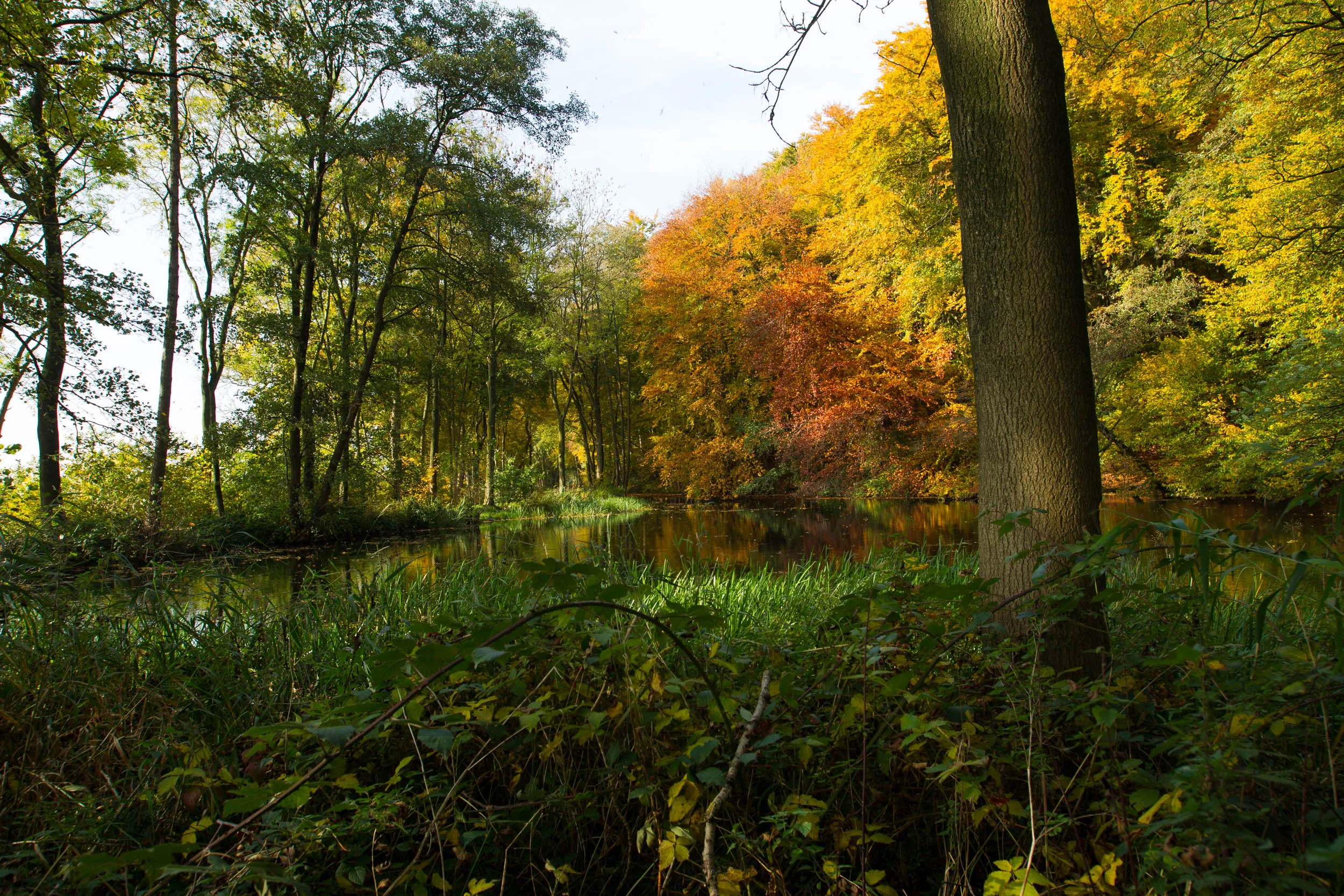 duno cultuurhistorische wandeling foto arie de knegt